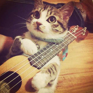 精产一二三产区划分标准图片
